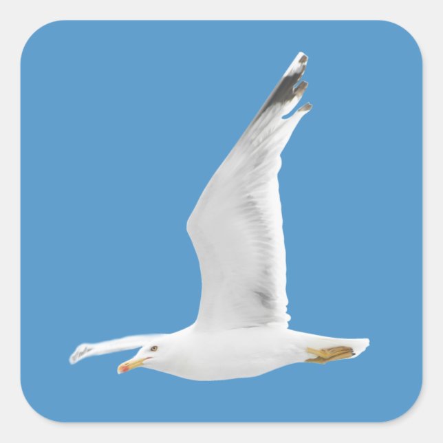 Flying seagull square sticker (Front)
