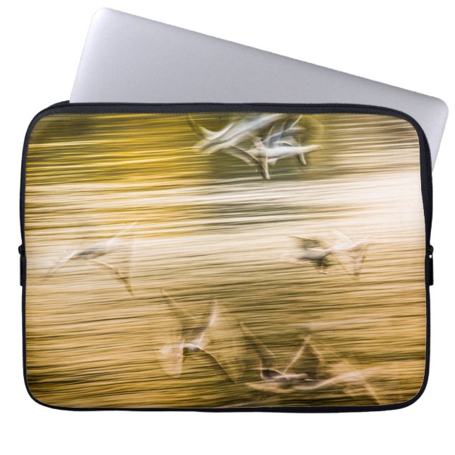 Flying seagulls - abstract laptop sleeve (Front)