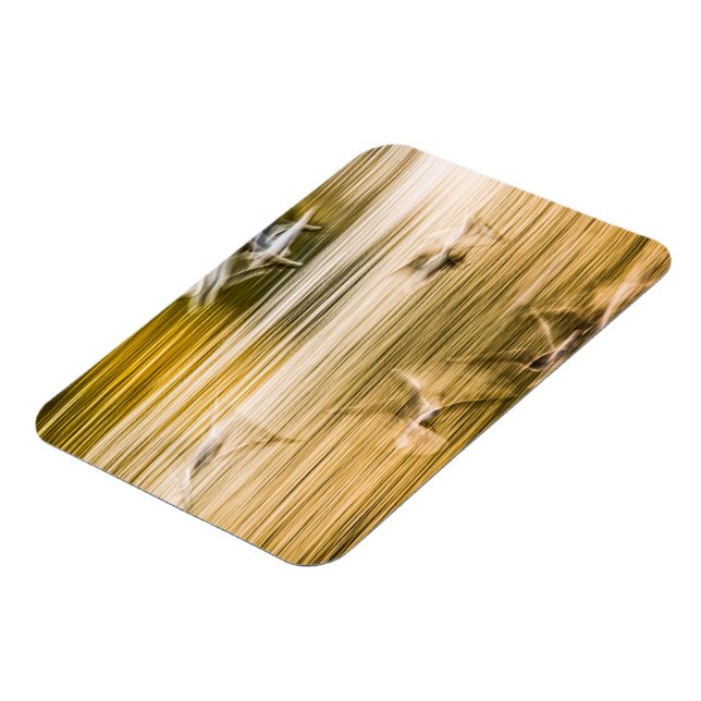 Flying seagulls - abstract magnet (Left Side)