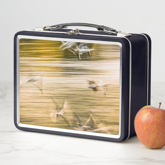 Flying seagulls - abstract metal lunch box (In Situ)