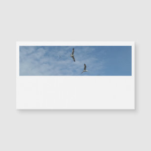 Flying Seagulls Business Cards