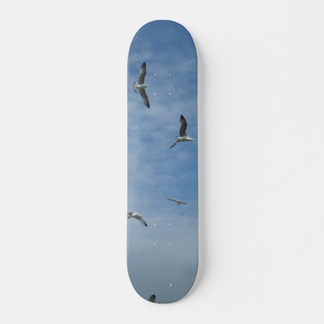 Flying Seagulls Skateboard (Front)