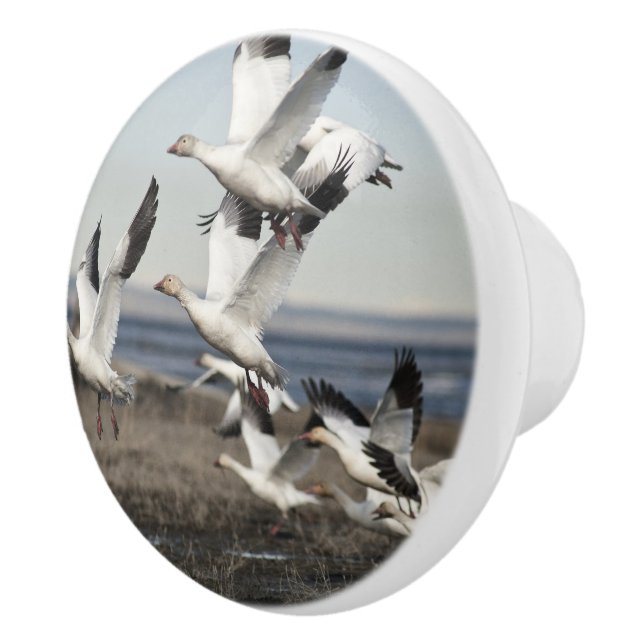 Flying Snow Geese Ceramic Knob (Right)
