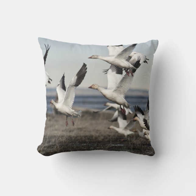 Flying Snow Geese Cushion (Front)