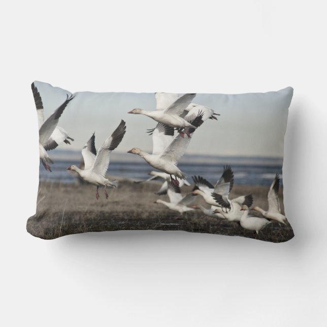 Flying Snow Geese Lumbar Cushion (Front)