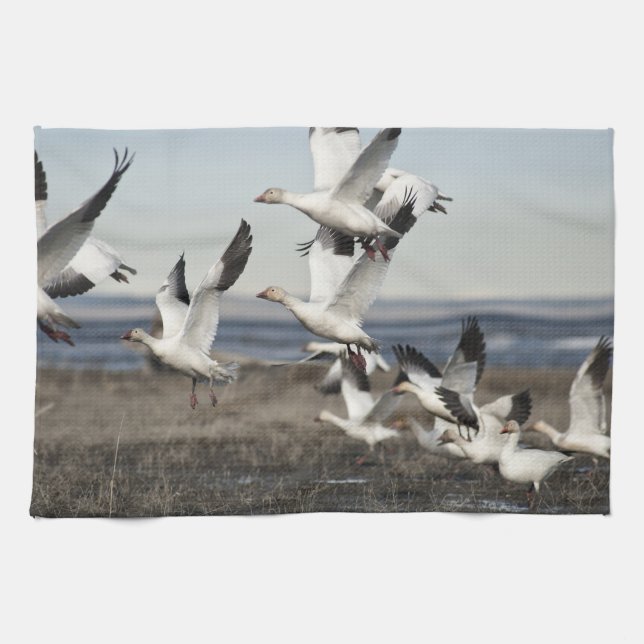 Flying Snow Geese Tea Towel (Horizontal)