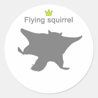 Flying squirrel g5 classic round sticker