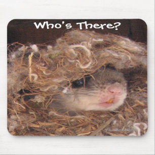 Flying Squirrel Mousepad