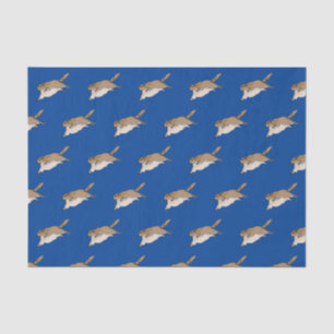 Flying Squirrel Tissue Paper