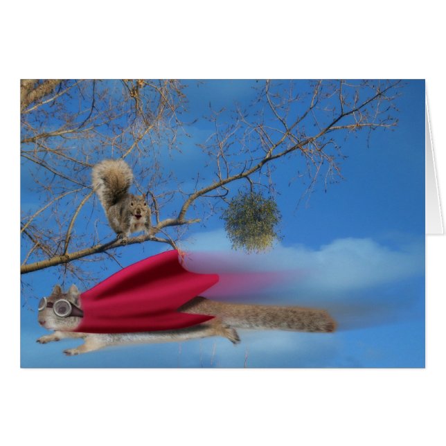 Flying Super Squirrel (Front Horizontal)