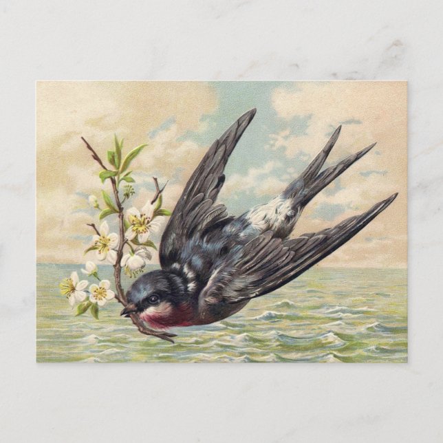 Flying swallow with flower twig postcard (Front)