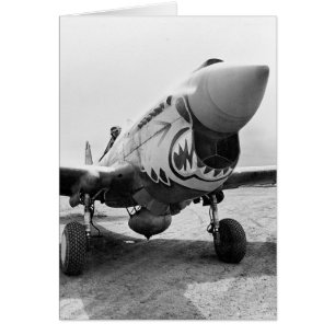 Flying Tigers P-40 Warhawk, 1941