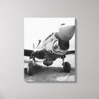Flying Tigers P-40 Warhawk, 1941