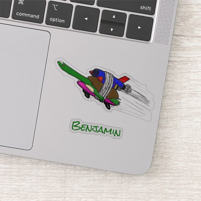 Flying tortoise (Detail)