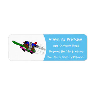 Flying tortoise