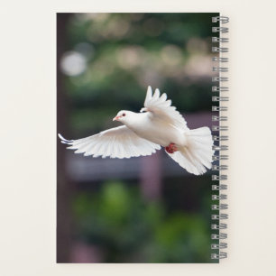 Flying White Dove Symbol of Peace Nature Photos Notebook
