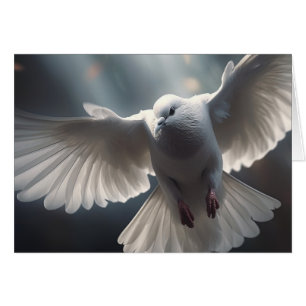 Flying White Peace Dove