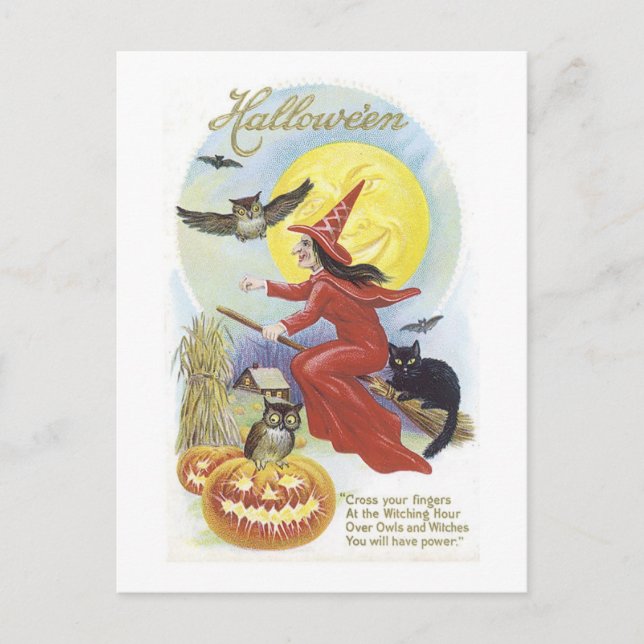 Flying Witch, Bats, Cat, Owl Moon Postcard (Front)