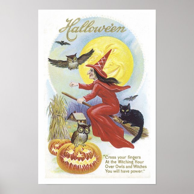 Flying Witch, Bats, Cat, Owl Moon Poster (Front)