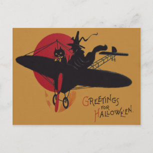Flying Witch Black Cat Aeroplane Full Moon Postcard