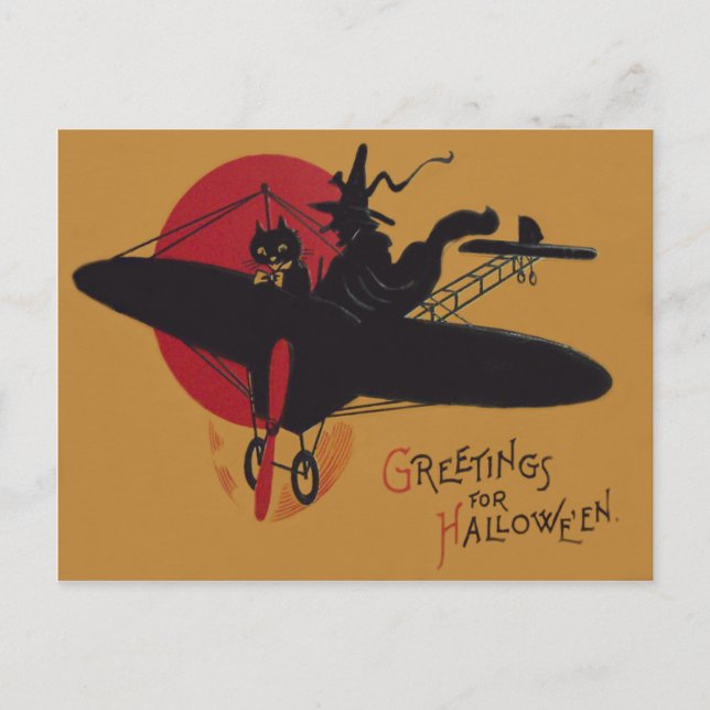 Flying Witch Black Cat Aeroplane Full Moon Postcard (Front)