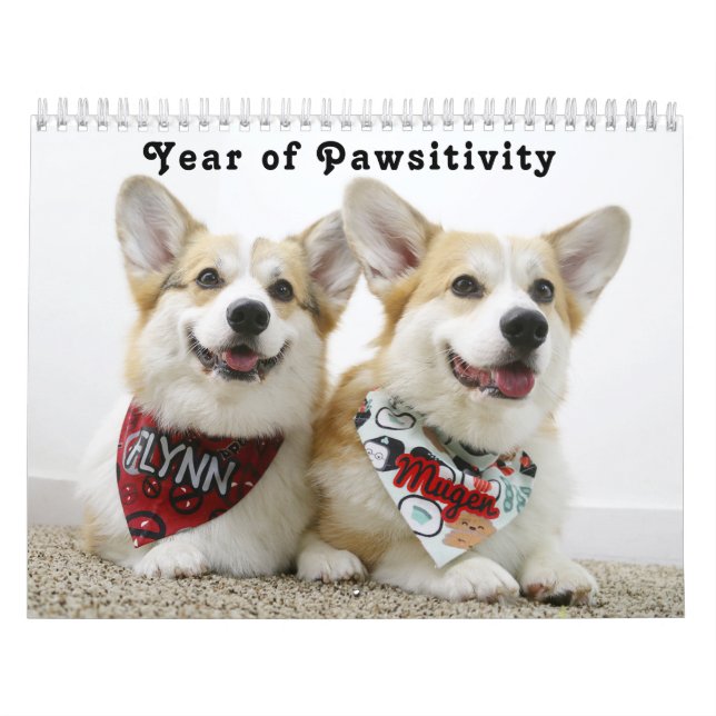 Flynn & Mugen's Year of Pawsitivity Calendar (Cover)
