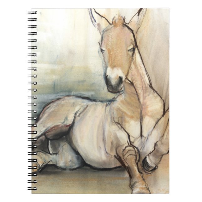Foal 2012 spiral notebook (Front)