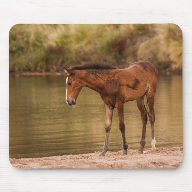 Foal at the river mouse pad (Front)