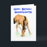 'Foal' Birthday Card for Granddaughter<br><div class="desc">Birthday Card is the big one with a foal design on the front,  from a watercolor painting by Judy Adamson. Happy Birthday inside. See also matching gifts and apparel.</div>