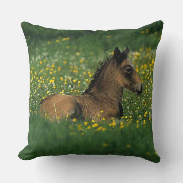 Foal Laying Down in Flowers Cushion (Front)