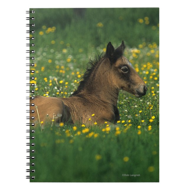 Foal Laying Down in Flowers Spiral Notebook (Front)