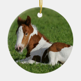 Foal Laying in Grass Ceramic Tree Decoration