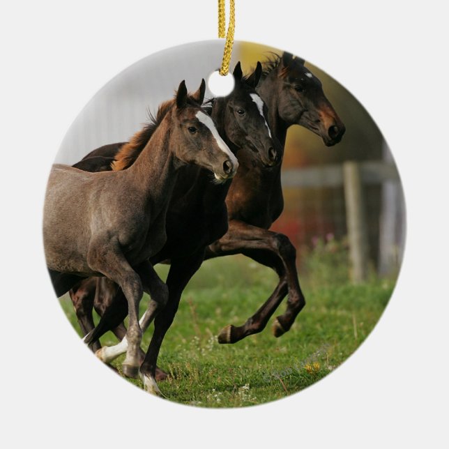 Foal Running Ceramic Tree Decoration (Front)