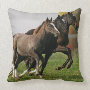 Foal Running Cushion