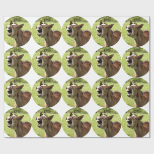 FOAL WRAPPING PAPER