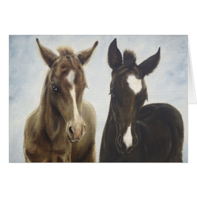 Foals Blank Card (Front Horizontal)