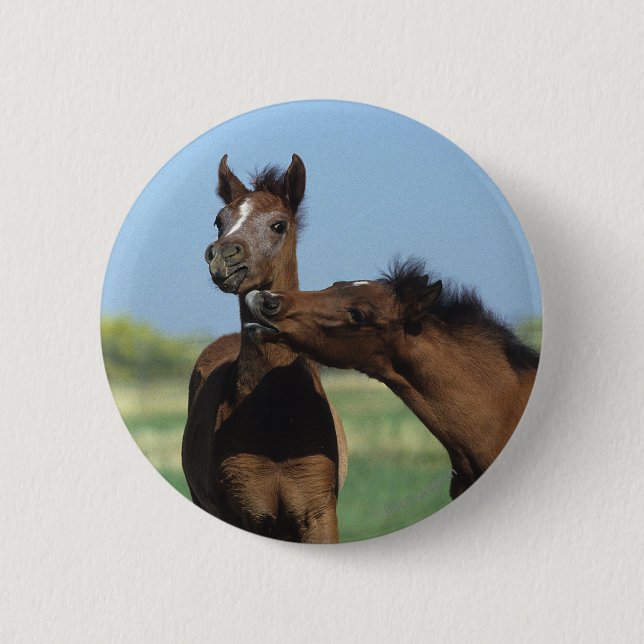 Foals Playing 2 6 Cm Round Badge (Front)