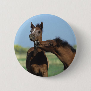 Foals Playing 2 6 Cm Round Badge