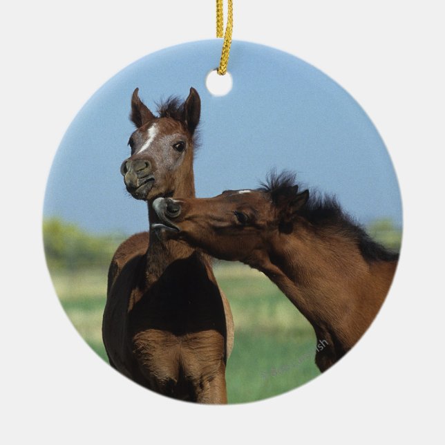Foals Playing 2 Ceramic Tree Decoration (Front)