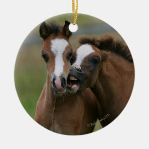 Foals Playing Ceramic Tree Decoration