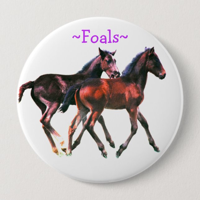 Foals Playing Pin Button (Front)