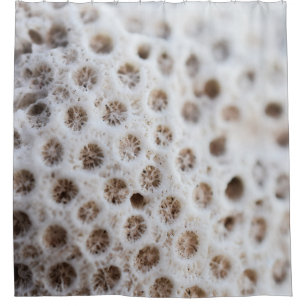 Foam Shower Curtain