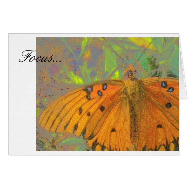 Focus Butterfly (Front Horizontal)