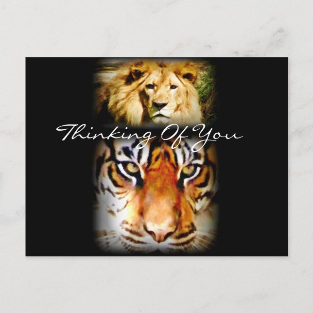 Focus & Courage_ Postcard (Front)