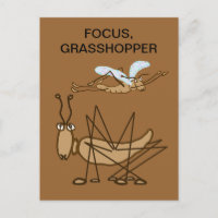 FOCUS GRASSHOPPER