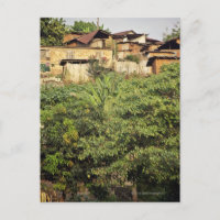 Focus on foreground trees. Jungle village near