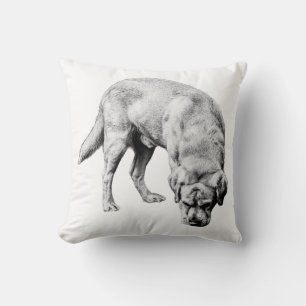 Focused Grain Cushion