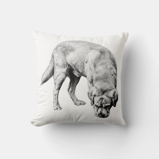Focused Grain Cushion (Front)