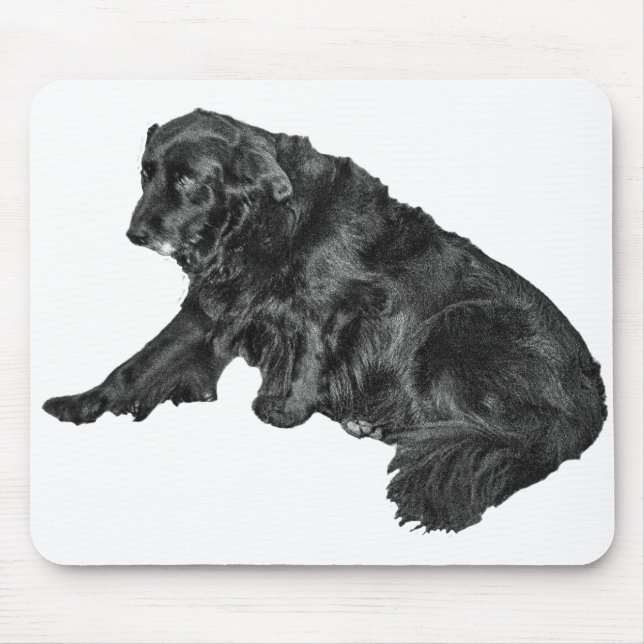 Focused Retriever, Velvet Desk Tones Mouse Pad (Front)