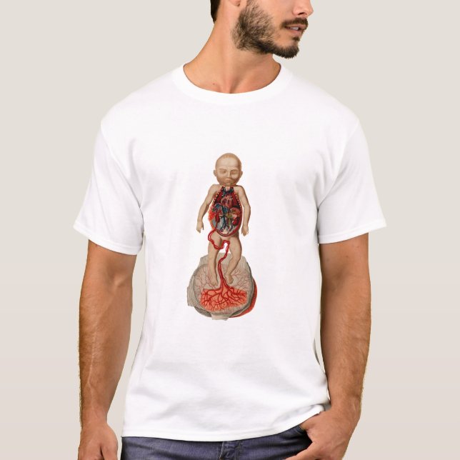 foetus blood circulation Illustration T-Shirt (Front)